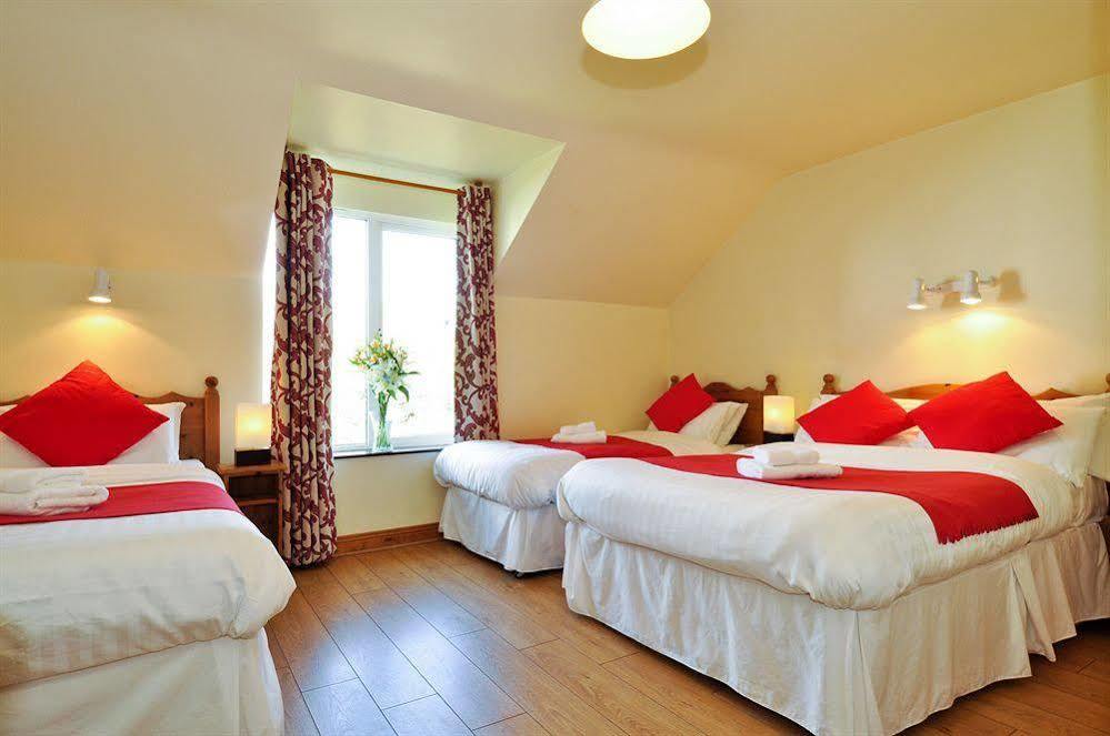 Dingle Harbour Lodge B&B מראה חיצוני תמונה